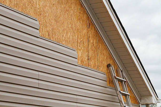 Professional Siding Repair technician working in Richmond Dale, OH